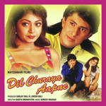 Dil Churaya Aapne (2001) Mp3 Songs